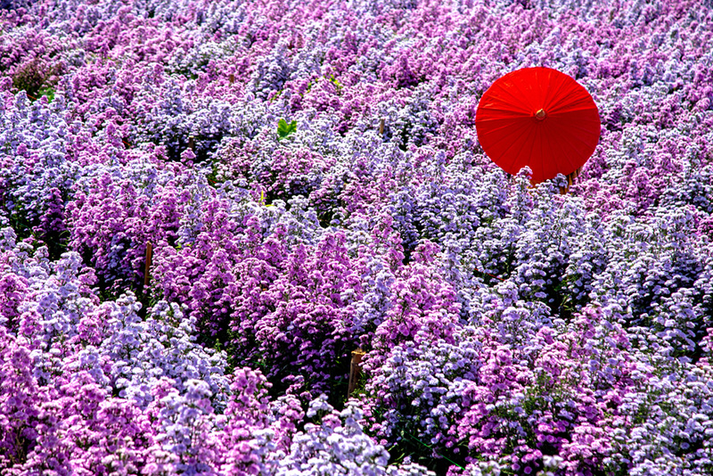 ที่เที่ยวเดือนพฤศจิกายน 2564