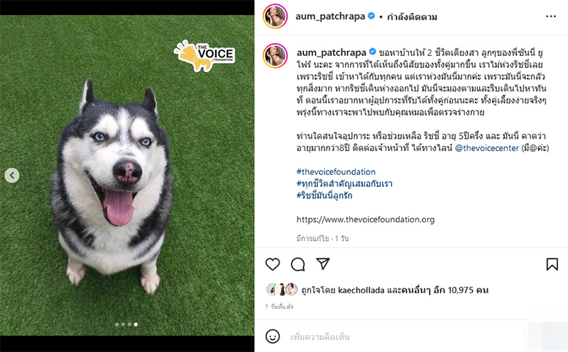 อั้ม พัชราภา ซันนี่ ยูโฟร์