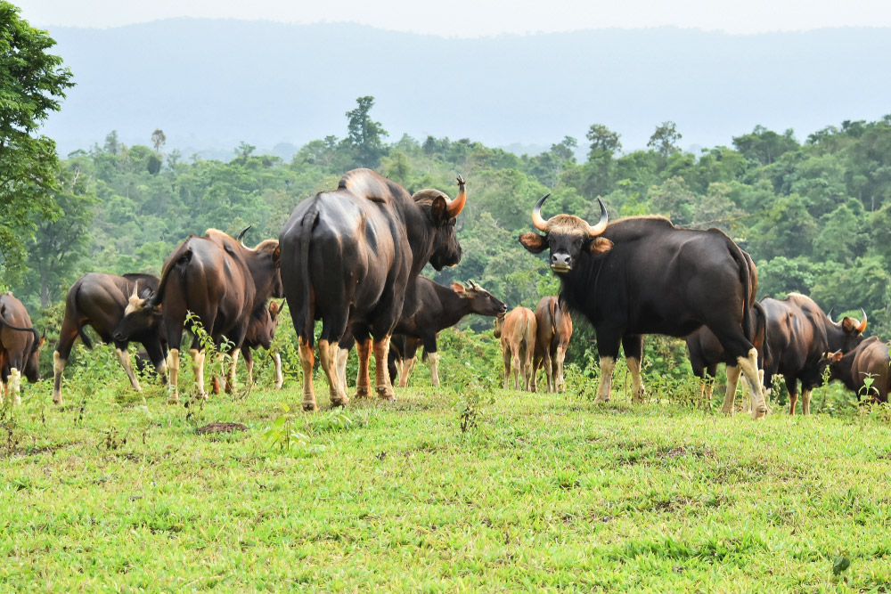 ที่เที่ยวเดือนมกราคม