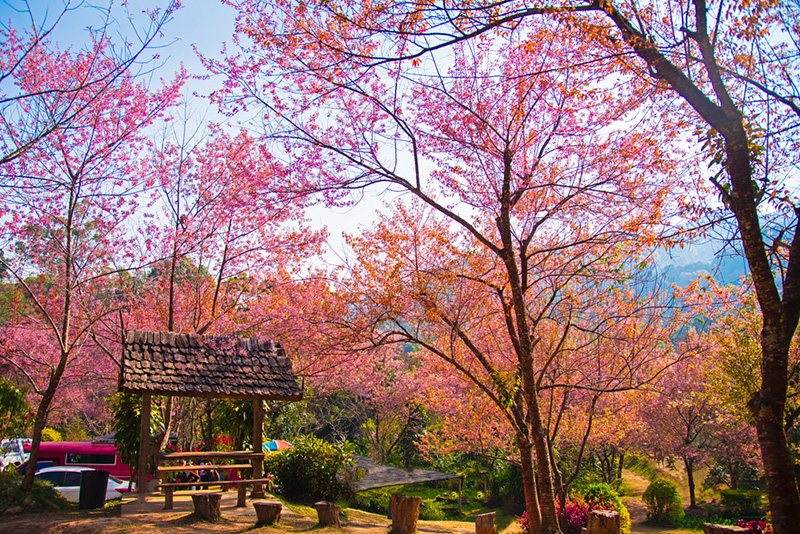 ที่เที่ยวปีใหม่