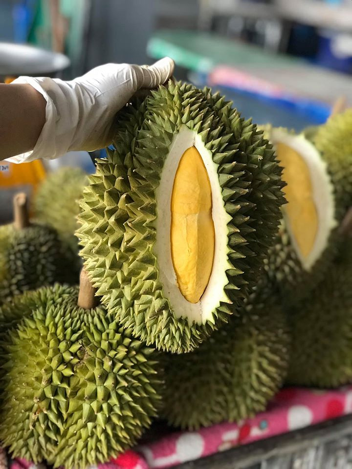 สวนผลไม้ระยอง จันทบุรี 2563