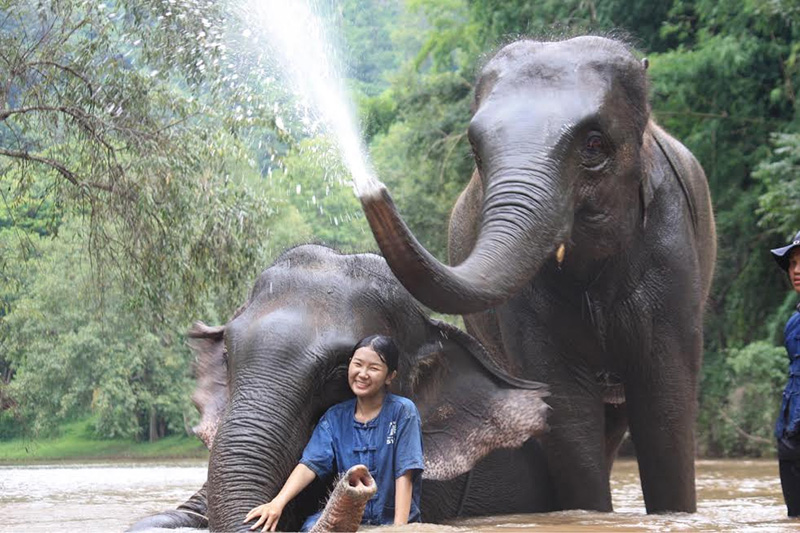 ที่เที่ยว มีช้าง