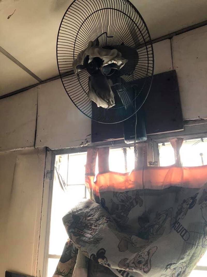 ตุ๊กตา อุบลวรรณ บุญรอด