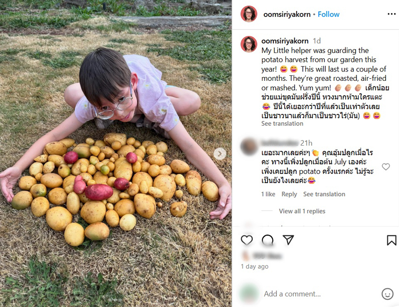 อุ้ม สิริยากร ปลูกมันฝรั่ง