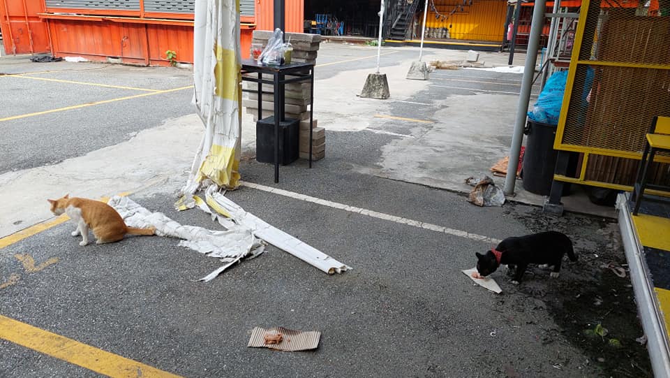 ตลาดนัดรถไฟรัชดา