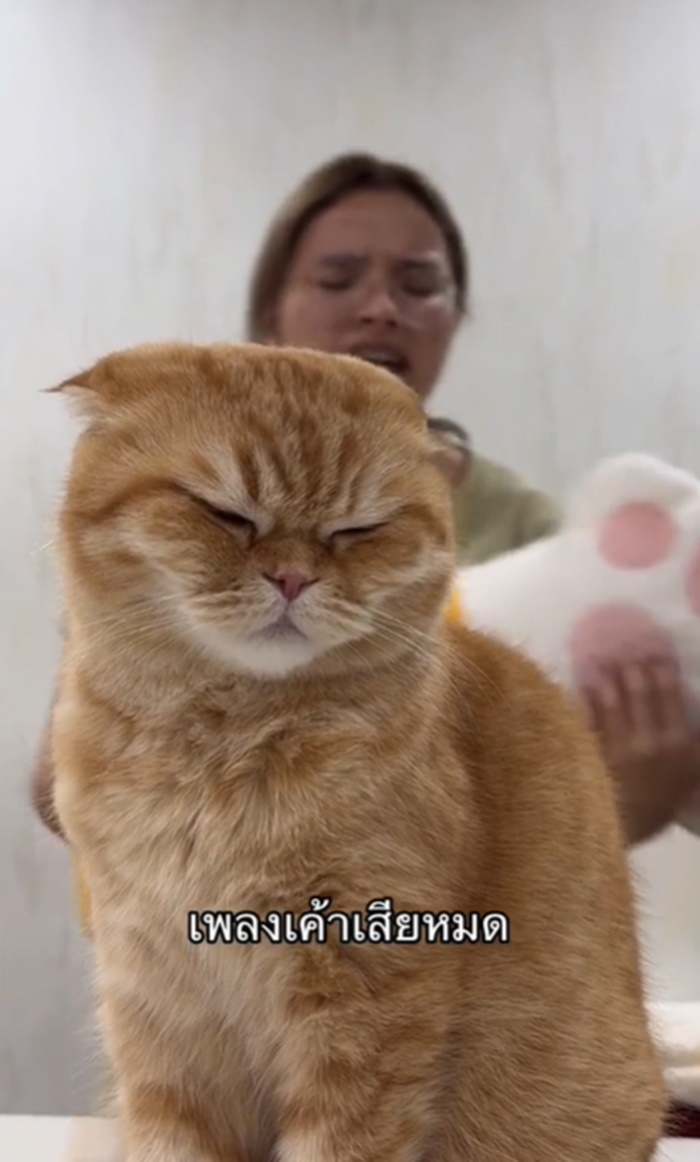 ร้องเพลง