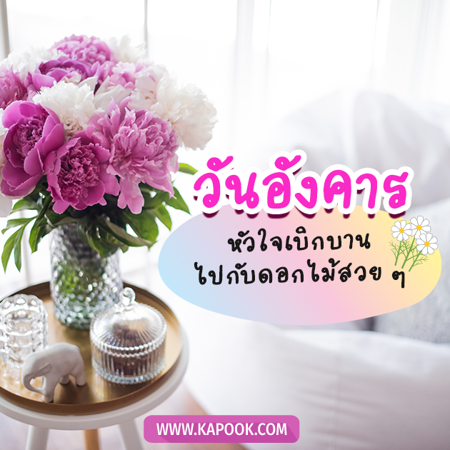 รูปสวัสดีวันอังคาร