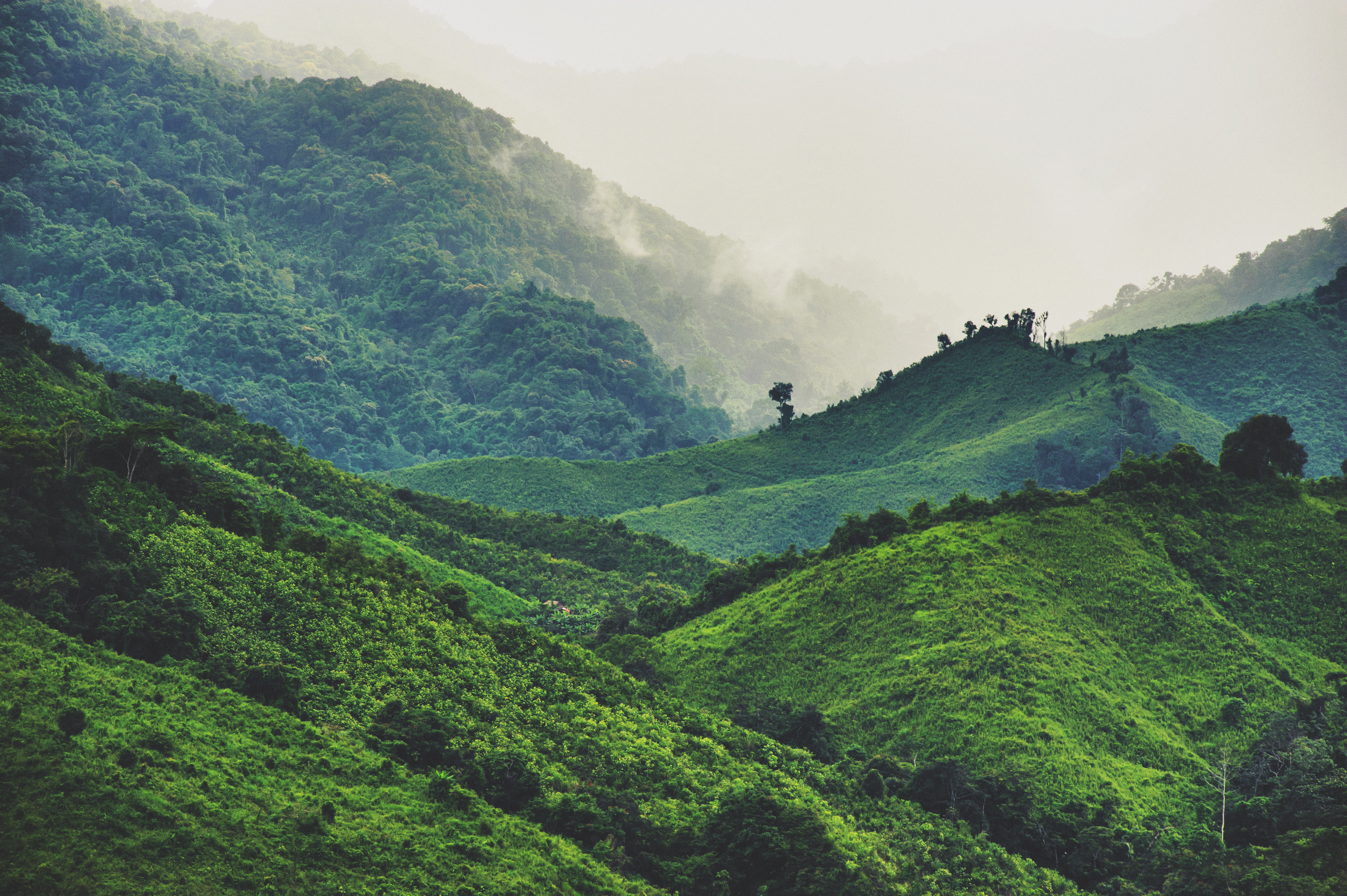 ที่เที่ยวน่านหน้าฝน