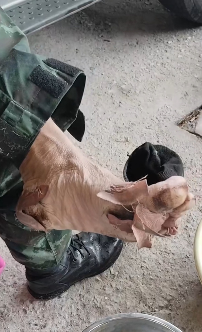 ทหารไทย