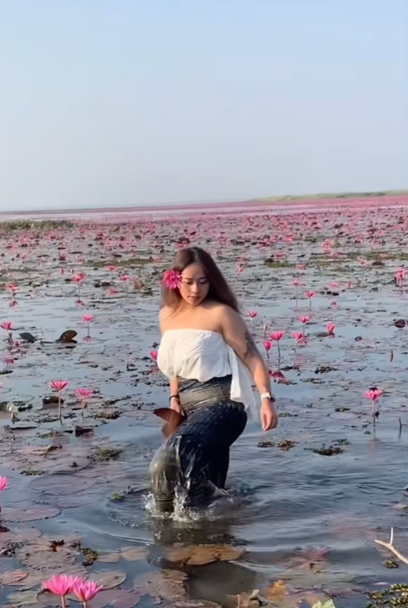 ทะเลบัวแดง