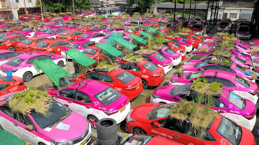 สุสานแท็กซี่ กรุงเทพฯ