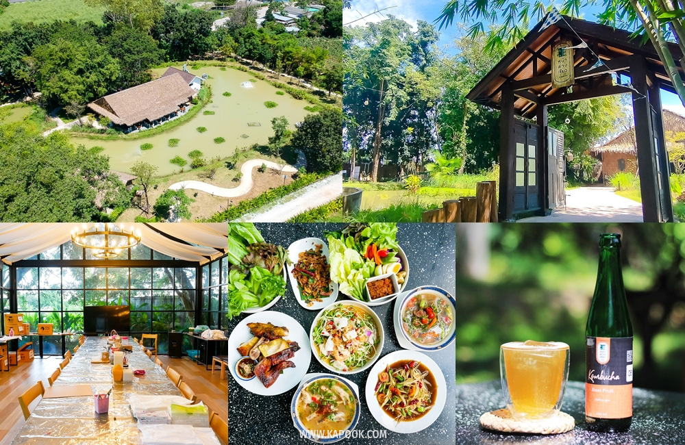 สวนเยาวพา ร้านหน้าต่างเขียว ที่เที่ยวศรีราชา