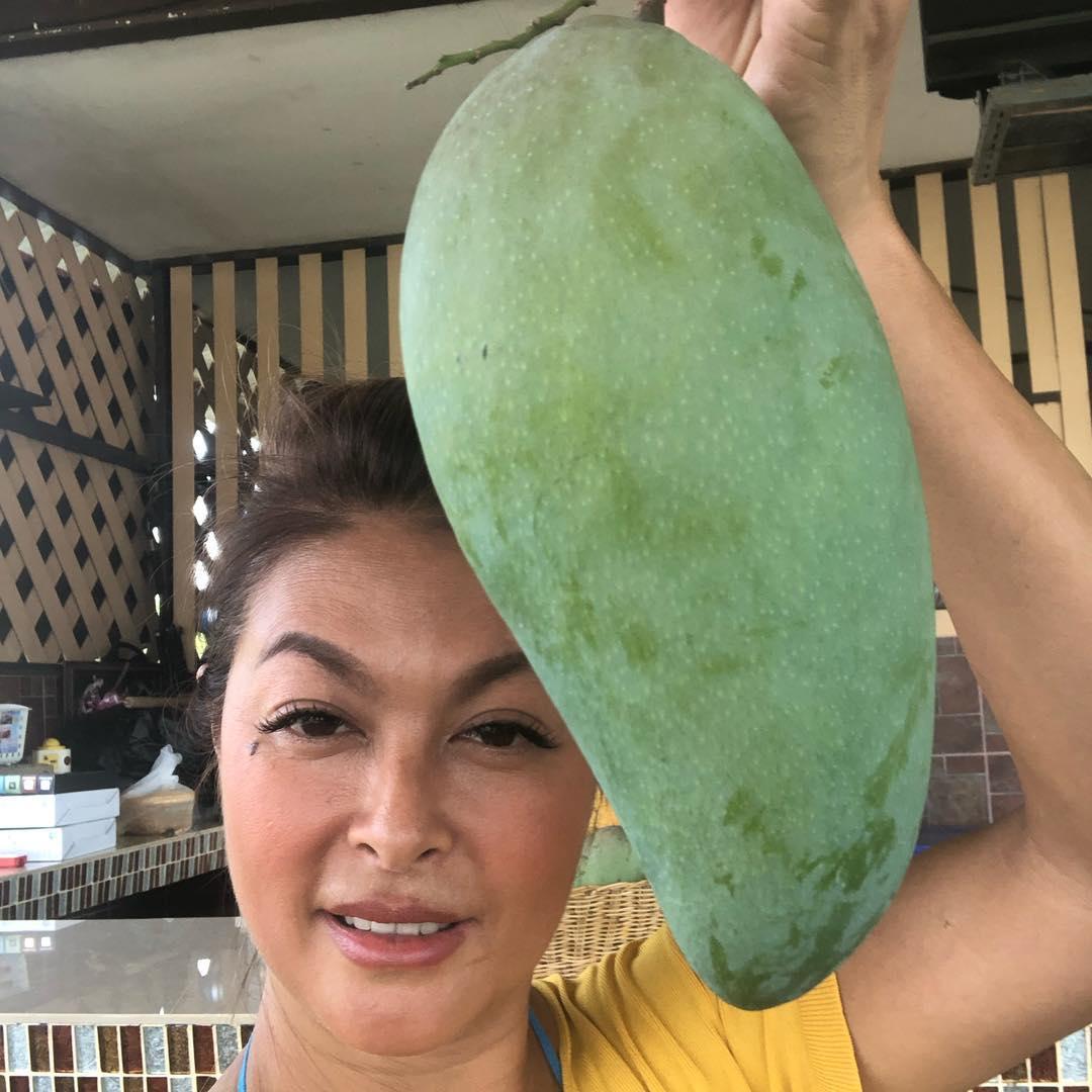 แชมเปญ เอ็กซ์