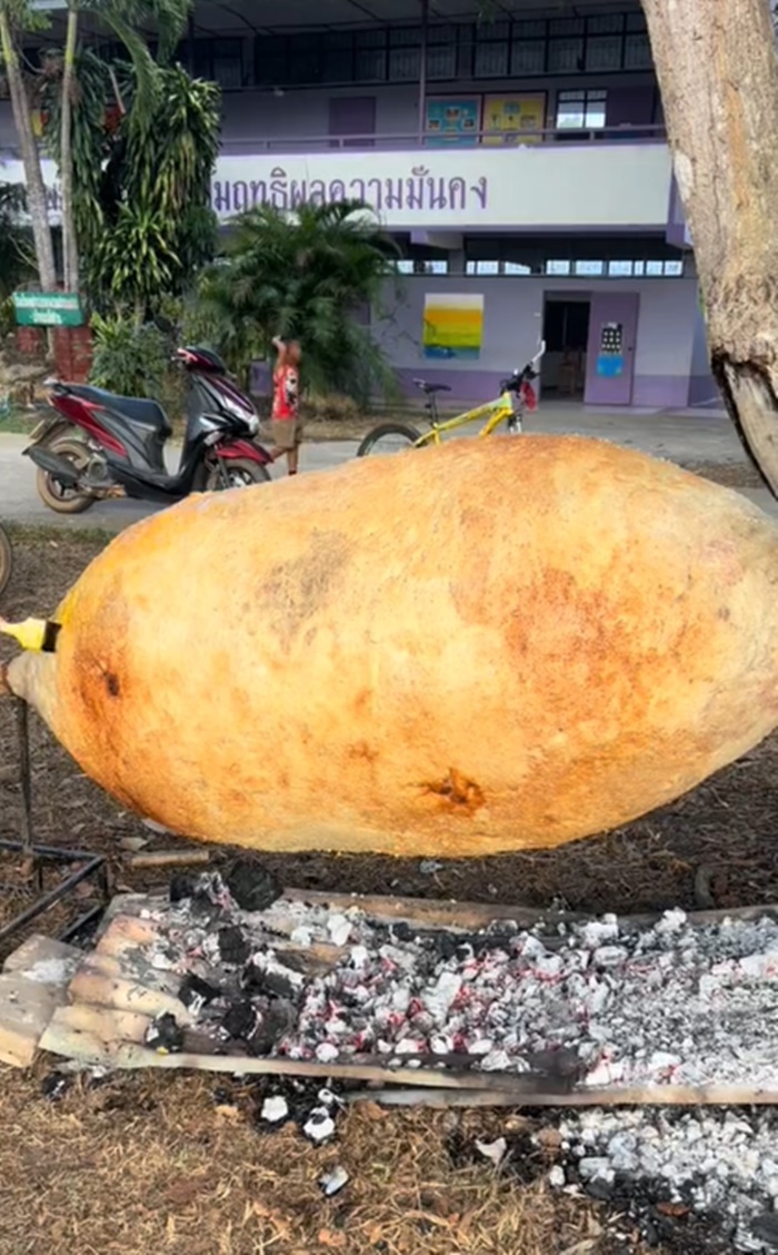 ข้าวจี่ยักษ์