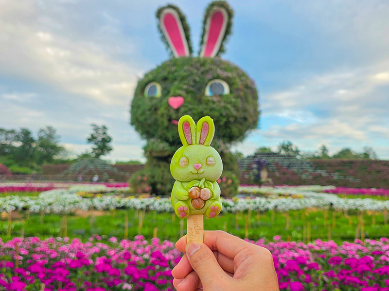 สวนเมเปิ้ล กาญจนบุรี 2568