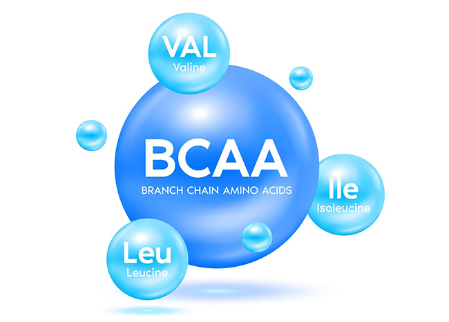 bcaa คืออะไร
