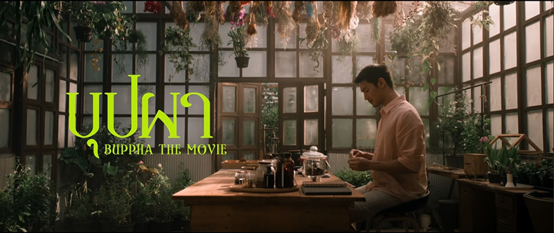 ภาพนักแสดงนำหนัง บุปผา (Buppha The Movie) อาโป ณัฐวิญญ์ วัฒนกิติพัฒน์