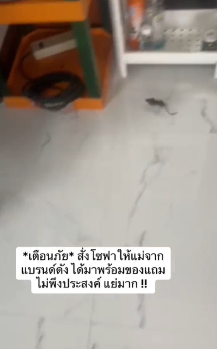 โซฟาใหม่
