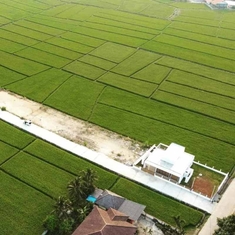 แบบบ้านสวน