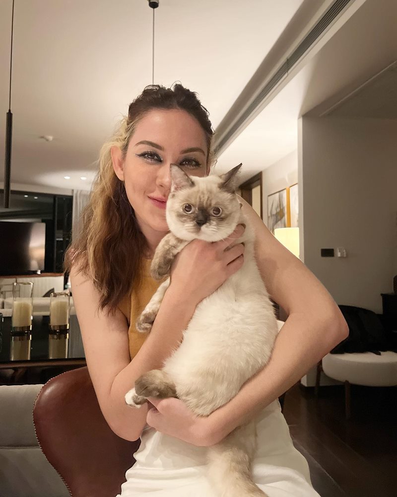 แมท ภีรนีย์