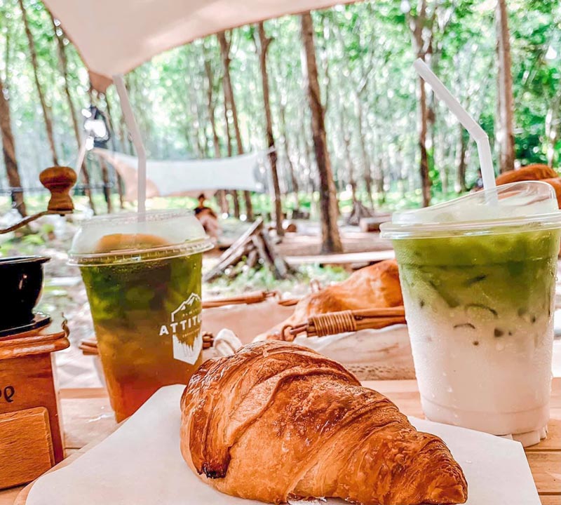 คาเฟ่ในสวนยาง