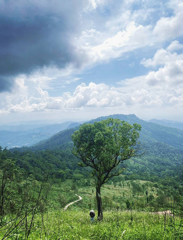 ภูอานม้า พะเยา