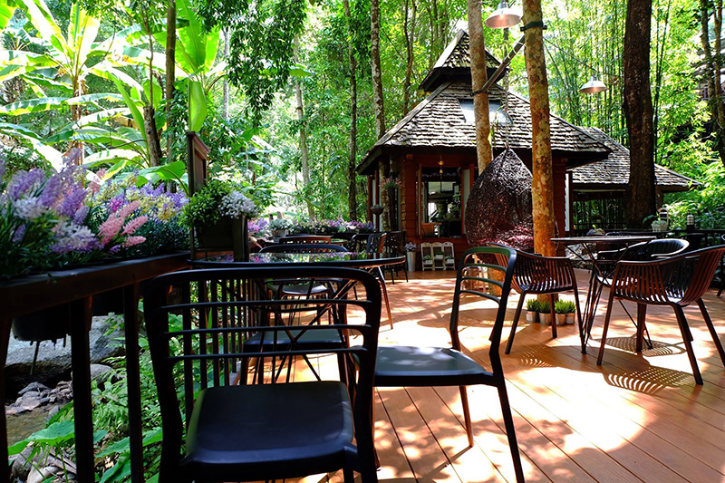 คาเฟ่ในป่า