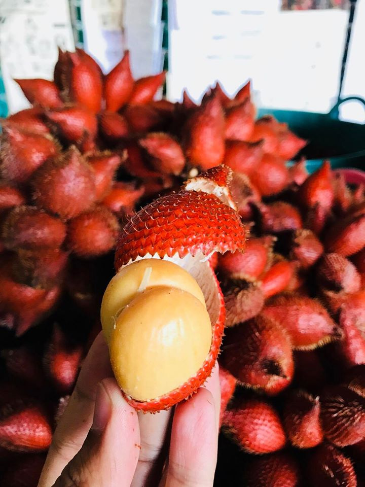 สวนผลไม้ระยอง จันทบุรี 2563