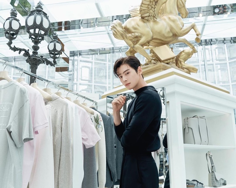 cha eun woo ชาอึนอู