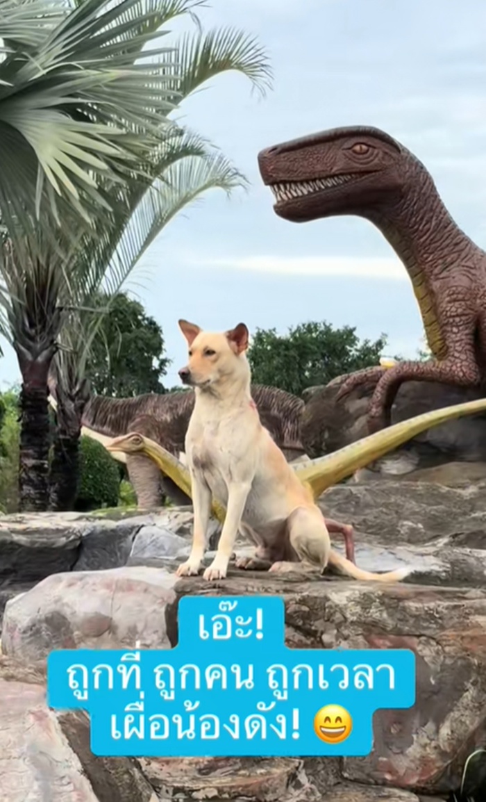 ไดโนเสาร์