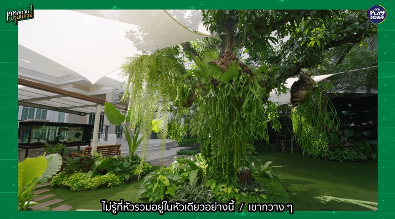 บ้าน ดิว วีรวัฒน์ สวน