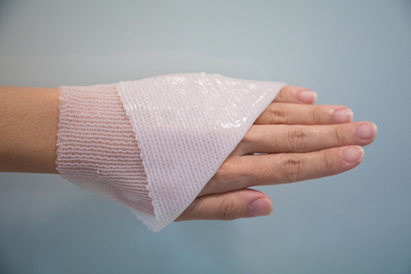 โครงการวัสดุปิดแผลไบโอเซลลูโลสคอมพอสิต