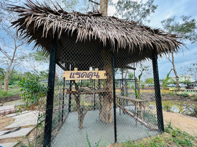Mini Zoo ธัญบุรี