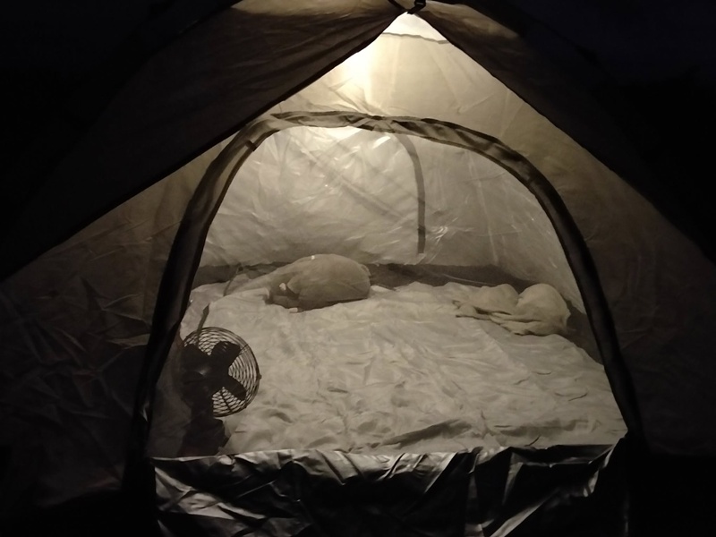 กางเต็นท์