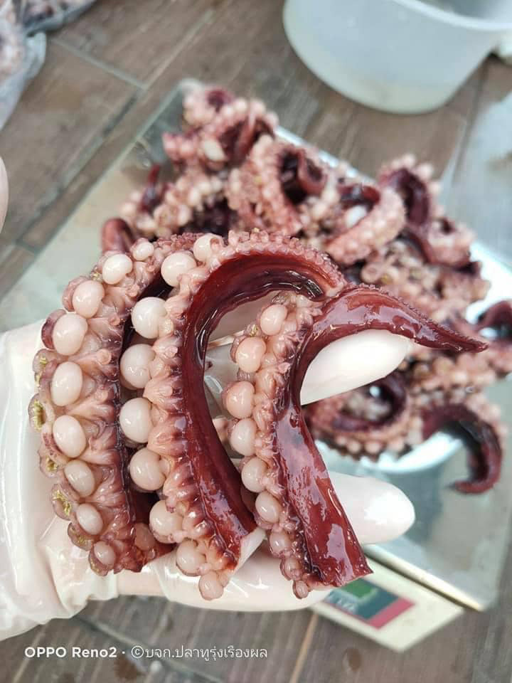 ร้านอาหารทะเลสด