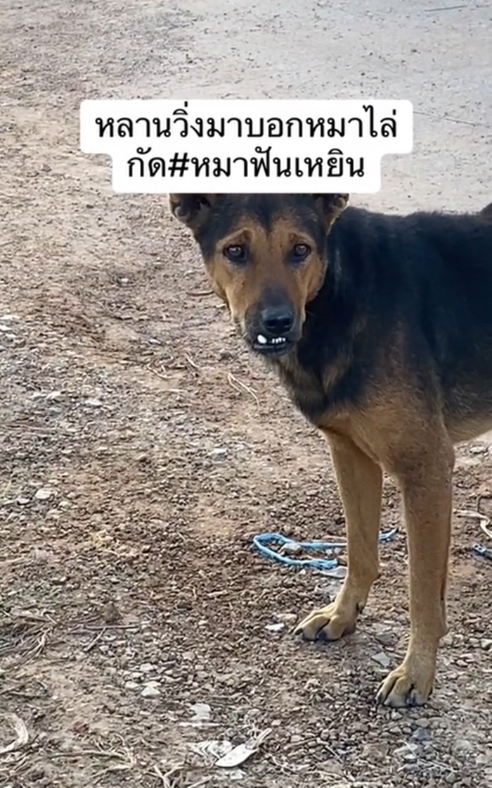 หมากัด