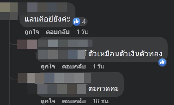 กระต่าย พรรณนิภา