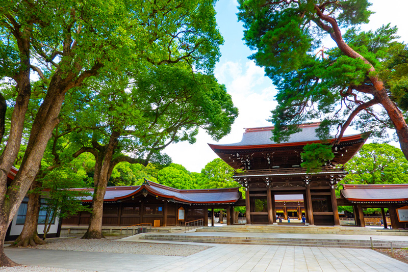 ศาลเจ้าเมจิ ที่เที่ยวโตเกียว 2024