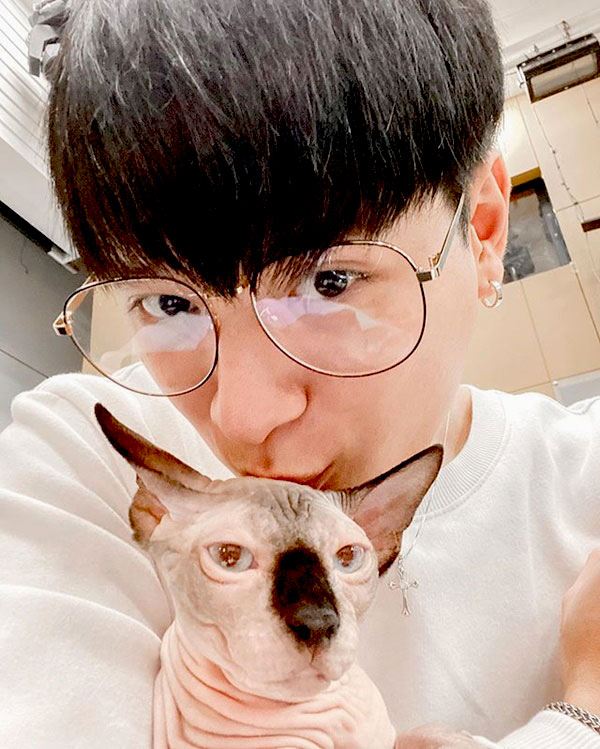 สัตว์เลี้ยงดารา