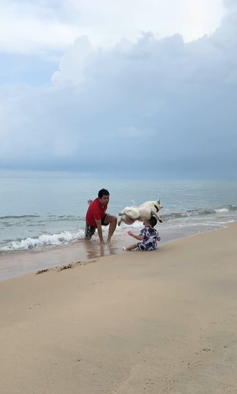 เล่นน้ำทะเล