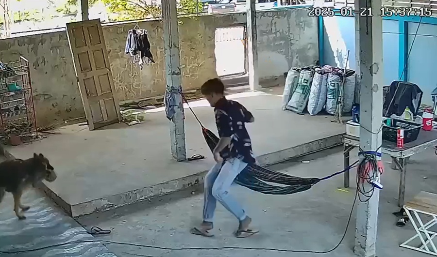 วิ่งไล่จับ