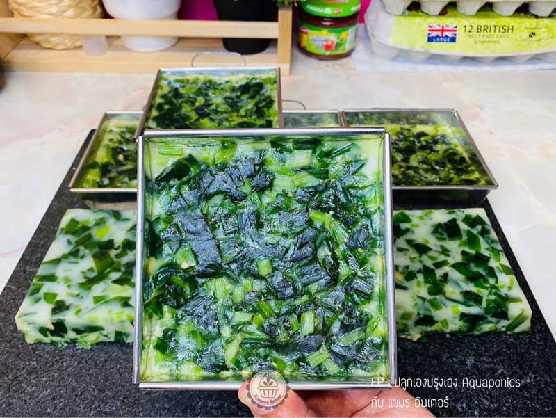 กุยช่ายกระเทียมป่า