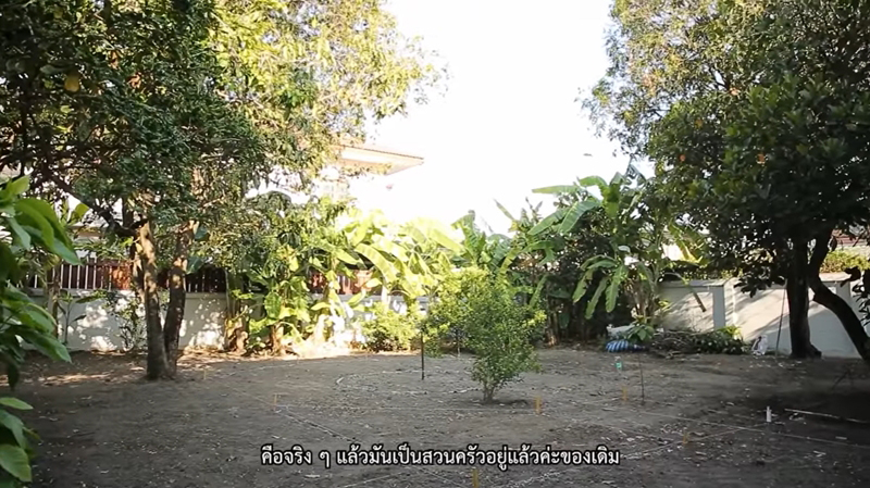 บ้าน เชอรี่ เข็มอัปสร แปลงปลูกผัก