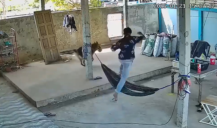 วิ่งไล่จับ