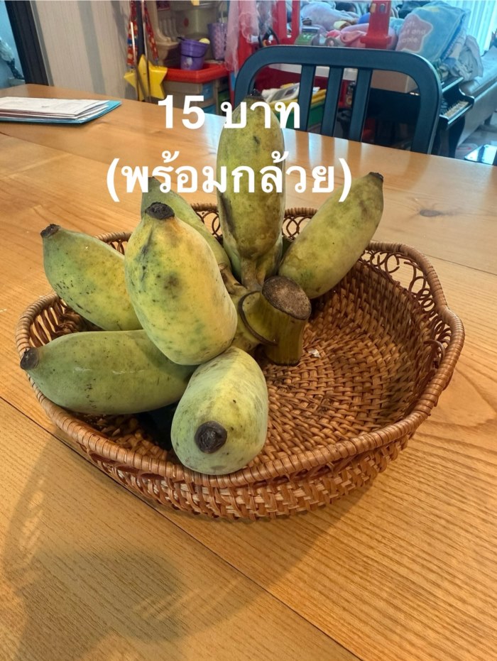 ตู่ ภพธร