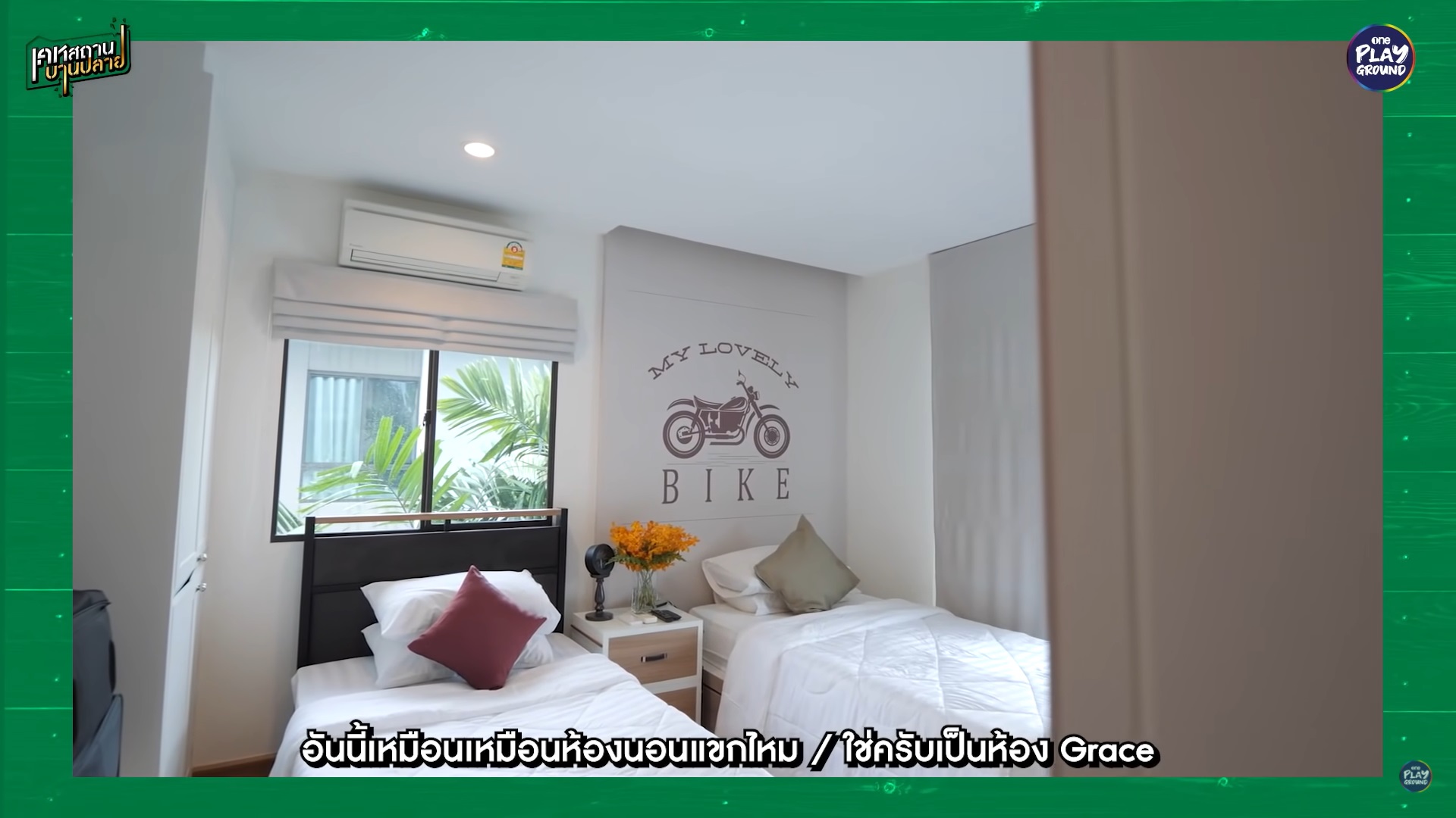 กวาง AB normal