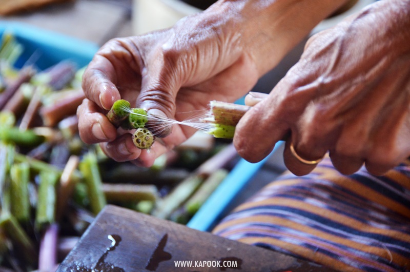 เที่ยวทะเลสาบอินเล เมียนมา