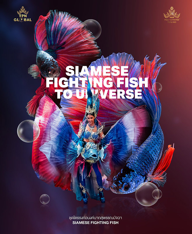 ชุดประจำชาติ