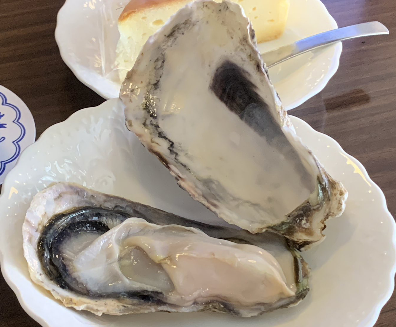 หอยนางรม