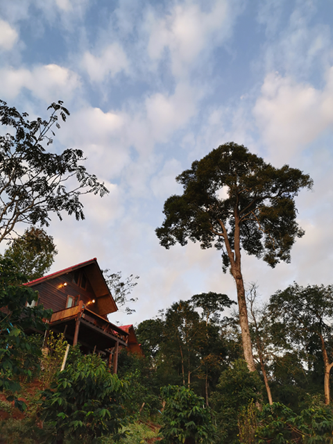 ที่พัก ทะเลหมอก